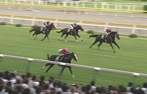 カルストンライトオ逝く