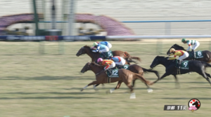 【きさらぎ賞】ビザンチンドリーム＆ピーヒュレク騎手がｷﾀ━━━━(ﾟ∀ﾟ)━━━━!!