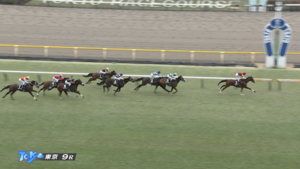 【ゆりかもめ賞】ウインマクシマム＆松岡騎手がｷﾀ━━━━(ﾟ∀ﾟ)━━━━!!