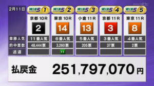 京都記念は見応えがあったのに