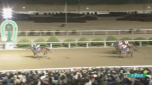 佐賀記念　ノットルゥノ大勝利で売り上げ大幅更新！！！