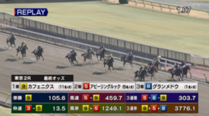 【土曜東京2R新馬戦】カフェニクス&原優介騎手がキタ━━━━(゚∀゚)━━━━!!