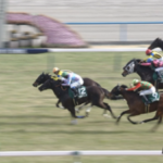 【京都牝馬S】ソーダズリング&武豊騎手がキタ━━━━(゚∀゚)━━━━!!