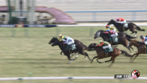 【京都牝馬S】ソーダズリング&武豊騎手がキタ━━━━(゚∀゚)━━━━!!