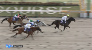 ガイアフォース長岡騎手、ケイティブレイブに続きまたもフェブラリー2着