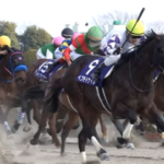 初重賞がG1制覇 ペプチドナイルの沼川オーナー、足の震え止まらず…