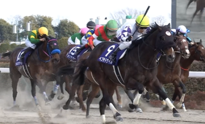 初重賞がG1制覇　ペプチドナイルの沼川オーナー、足の震え止まらず…