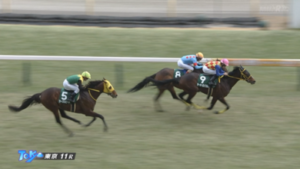 【ダイヤモンドS】サリエラまたしても重賞勝てず…