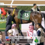 【サウジC】ウシュバテソーロが勝ったら賞金額1位か