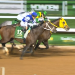 ウシュバテソーロ川田騎手、直線で絶叫しながら追っていた