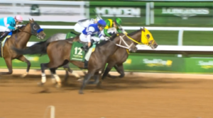 ウシュバテソーロ川田騎手、直線で絶叫しながら追っていた