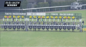 【悲報】マスクトディーヴァのゲートだけ開いてない