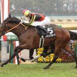 秋華賞馬スタニングローズ、西村淳也との新コンビで大阪杯へ