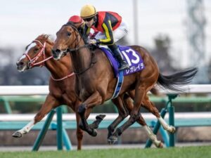 今年ほど大混戦の皐月賞って過去にあった?