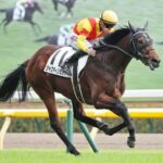 真面目な話ジャスティンミラノ三冠でしょこれ