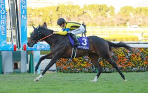 ジャンタルマンダルはムルザパエフとの新コンビで皐月へ!
