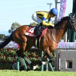 金鯱賞制覇のプログノーシス、次走は香港クイーンエリザベス2世カップへ!