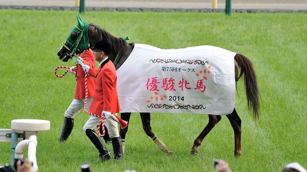 オークスって３歳牝馬の頂上決戦感なくね？