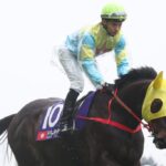 ビクターザウィナーに乗ってた香港騎手