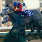 【悲報】笠松競馬、オグリキャップ記念2500m→1400mに距離変更