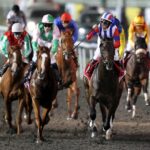 ドバイやサウジみたいな競馬の祭典的な大イベントを日本でも開催することは可能なの?