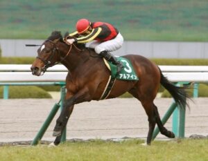 アルアイン種牡馬大成功