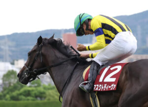 マスクトディーヴァはモレイラで阪神牝馬Sへ
