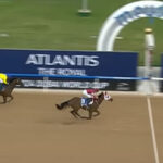 【UAEダービー】フォーエバーヤングが快勝!無傷の5連勝