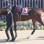 【競馬予想】[1]第72回阪神大賞典(GII) /2024