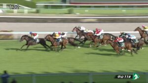 【ダービー卿CT 2024】出走予定馬・騎手/春を感じさせる