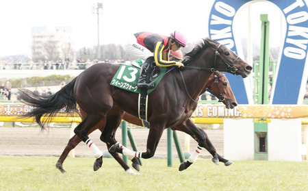 クイーンズウォーク、川田将雅とのコンビで桜花賞へ