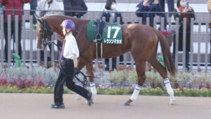 【競馬予想】第19回オーシャンステークス(GⅢ) /2024