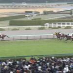 【阪神大賞典2024】結果・動画/テーオーロイヤルが突き抜け圧勝