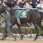 【競馬予想】第42回中山牝馬ステークス(GⅢ) /2024