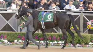 【競馬予想】第42回中山牝馬ステークス(GⅢ) /2024