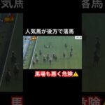人気馬が後方で落馬してしまう