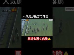 人気馬が後方で落馬してしまう
