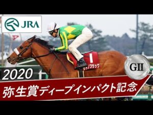 2020年 弥生賞ディープインパクト記念（GⅡ） | サトノフラッグ | JRA公式