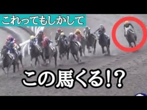 本当にすごい脚で飛んできます