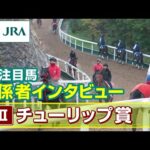 【注目馬 関係者インタビュー】2024年 チューリップ賞|JRA公式