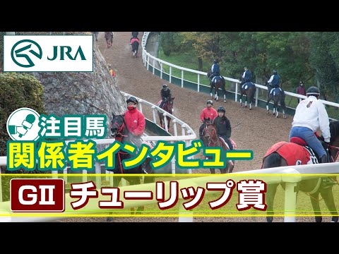 【注目馬 関係者インタビュー】2024年 チューリップ賞｜JRA公式