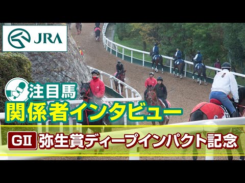 【注目馬 関係者インタビュー】2024年 弥生賞ディープインパクト記念｜JRA公式