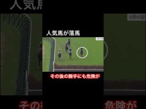 【人気馬が落馬】後続からの危険も