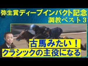 【世界的良血シンエンペラーか？無敗の逸材か？】競馬エイト・高橋賢司トラックマンの調教解説＜弥生賞ディープインパクト記念(ＧⅡ)＞
