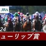 2024年 チューリップ賞(GⅡ) | 第31回 | JRA公式