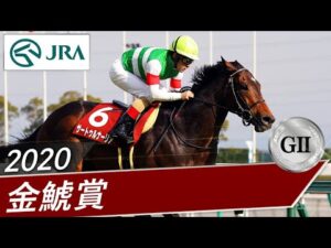 2020年 金鯱賞（GⅡ） | サートゥルナーリア | JRA公式