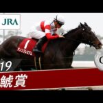 2019年 金鯱賞(GⅡ) | ダノンプレミアム | JRA公式