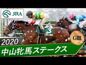 2020年 中山牝馬ステークス（GⅢ） | フェアリーポルカ | JRA公式