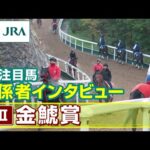 【注目馬 関係者インタビュー】2024年 金鯱賞|JRA公式