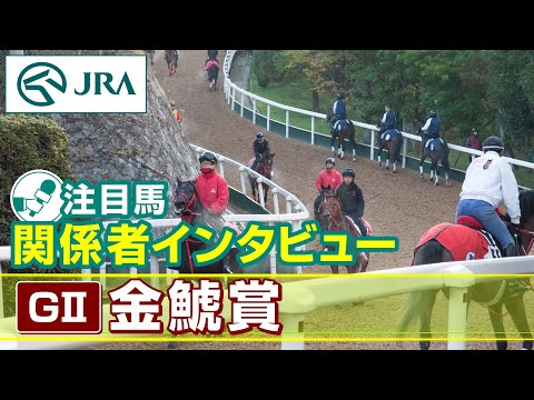 【注目馬 関係者インタビュー】2024年 金鯱賞｜JRA公式